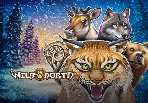 Wild North social casino slot game